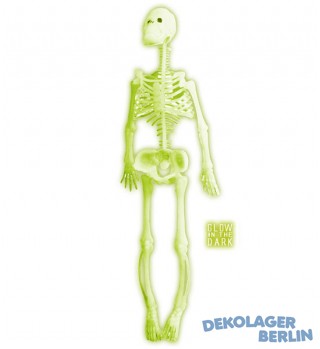 Halloween Skelett 32 cm