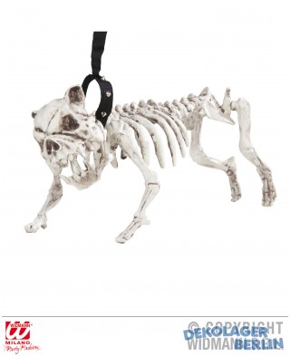 Hundeskelett mit Leine 45 cm zu Halloween