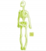 Halloween Skelett 32 cm-Dekolager Berlin