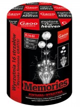 Gaoo Batterie mit Fontne Memories