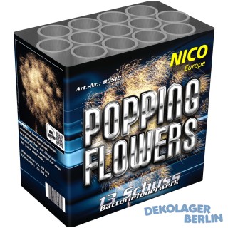 Nico Popping Flowers Feuerwerk Batterie - 13 Schüsser