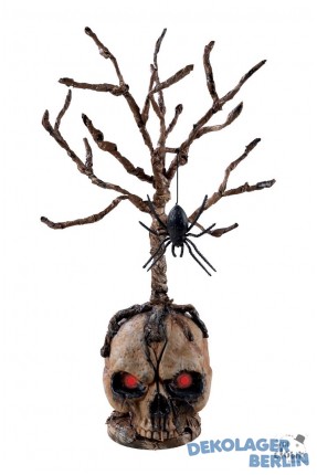 Mumifizierter Totenkopf mit Baum und Spinne