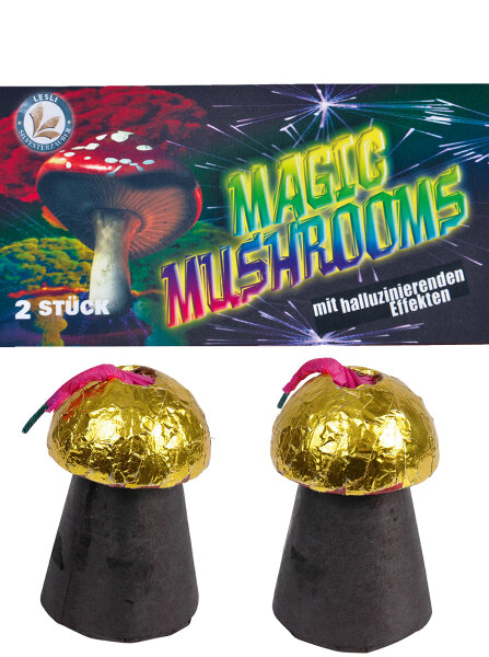 2 Feuerwerk Fontänen Magic Mushrooms von Lesli