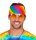 Regenbogen Bandana