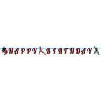 Miraculous Ladybug Happy Birthday Buchstaben Girlande
