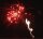 Pyrotrade Feuerwerk Batterie Red Dragon