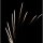 Pyrotrade Feuerwerk Single Row Brocade Crown Comet Zipper
