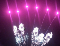 Pyrotrade Feuerwerk Single Row Silver whirl with green strobe mine purple tail