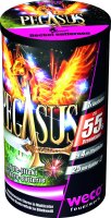 Weco Feuerwerk Fontänen Batterie Pegasus