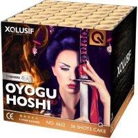 Silvester Feuerwerk Batterie Oyogu Hoshi von Lesli