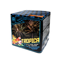 Funke Argento Tropica Feuerwerk Batterie