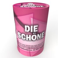 Die Schöne Feuerwerk Fontänen Batterie von...
