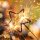 4 Wunderkerzen Herzen und Sterne