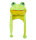 Mütze oder Maske als Frosch mit Tierkopf