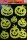 Halloween Deko Kürbis Fensterbilder glow in the dark