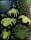 Halloween Deko Spinnen Fensterbilder glow in the dark