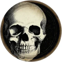 10 Halloween Papp Teller Ø 23 cm mit Totenkopf
