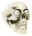 Totenkopf mit bewglichem Kiefer und Augen