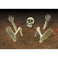 Halloween Skelett als Groundbraker