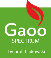 Gaoo Spectrum Feuerwerk Batterie Dubai