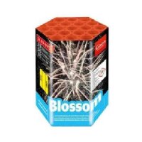 Gaoo Batterie Brutos ehem. Blossom