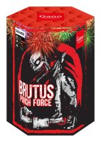 Gaoo Batterie Brutos ehem. Blossom