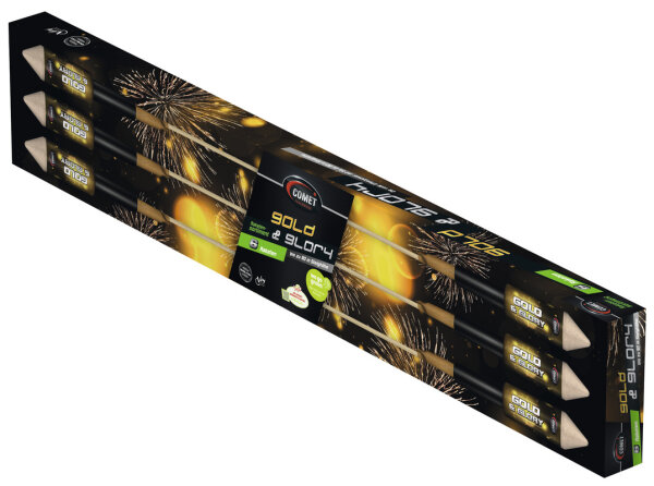 Silvester Feuerwerk Raketen Sortiment 6 Gold & Glory