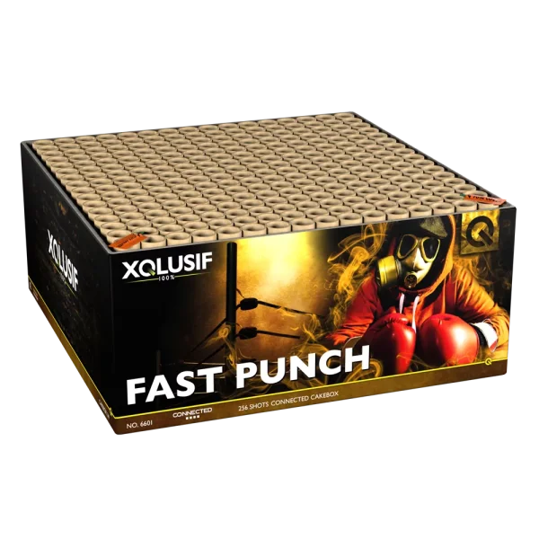 Silvester Feuerwerk XQlusiv Fast Punch Verbund von Lesli
