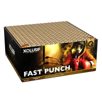 Silvester Feuerwerk XQlusiv Fast Punch Verbund von Lesli