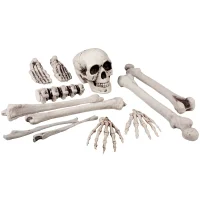 Halloween Totenkopf und Knochen Skelett Deko Set