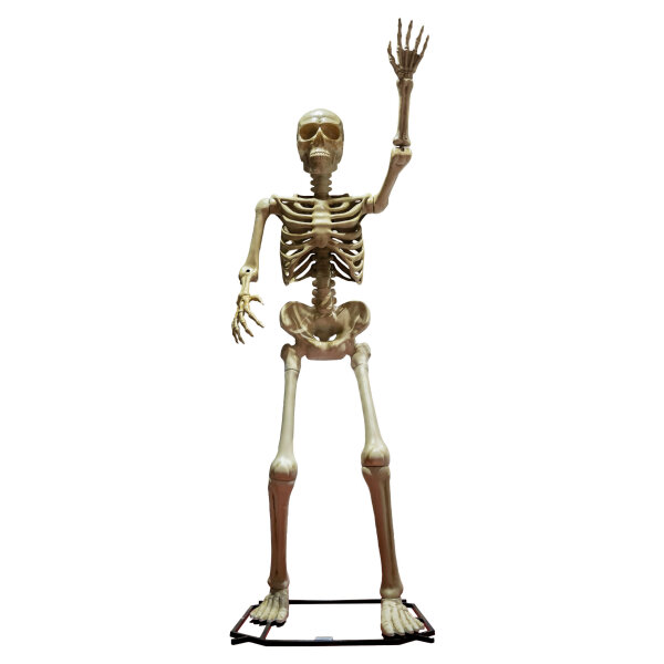 Halloween Deko Riesen Skelett 335cm