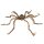 Halloween Deko Spinne 60 cm mit Saugnapf