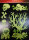 Halloween Deko Friedhof Fensterbilder glow in the dark