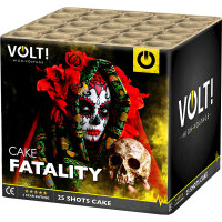 Silvester Feuerwerk Volt Batterie Fatality
