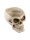 Halloween Deko Totenkopf mit offenem Schädel für Süssigkeiten