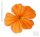 18 Bunte Hibiskusblüten