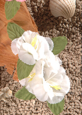 Hawaii Hibiscusblüten Haarspange weiß