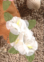 Hawaii Hibiscusblüten Haarspange weiß