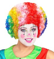 Afro Clown Perücke bunt