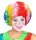 Afro Clown Perücke bunt