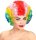 Afro Clown Perücke bunt