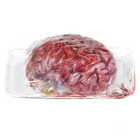 Gehirn in Supermarkt Verpackung mit Blut