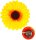 Ansteck Sonnenblume für die Schlagerparty