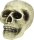 Realistischer Totenkopf Schädel