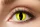 Farbige Kontaktlinsen yellow cat
