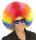 Riesen Afro Clown-Perücke bunt