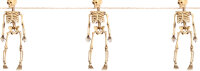 Halloween Girlande aus Skeletten