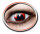 Farbige Kontaktlinsen Mangekyo Sharingan