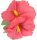 Hawaii Hibiscusblüten Haarspange pink rosa