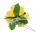 Hawaii Hibiscusblüten Haarspange gelb